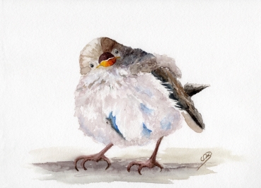Poster DIN-A3 Aquarell Kunst Druck Kunstdruck Spatz Vogel Frühling